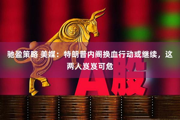 驰盈策略 美媒：特朗普内阁换血行动或继续，这两人岌岌可危
